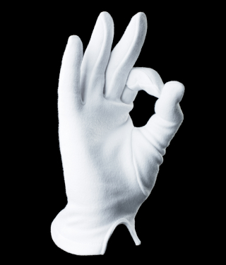 Resultado de imagen de de guante blanco